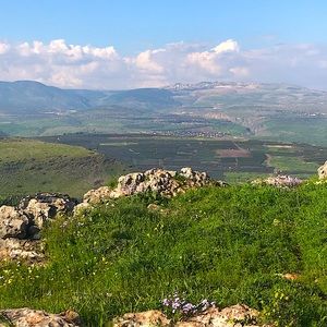 Meet your Posher, Evalynn 💕